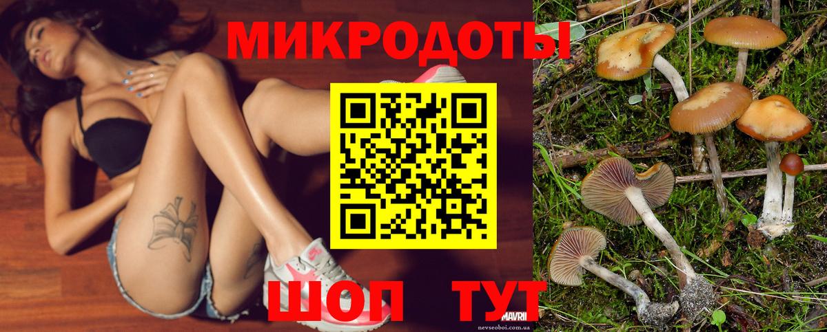 Будённовск  Псилоцибиновые грибы Magic Shrooms  Вход с VPN 