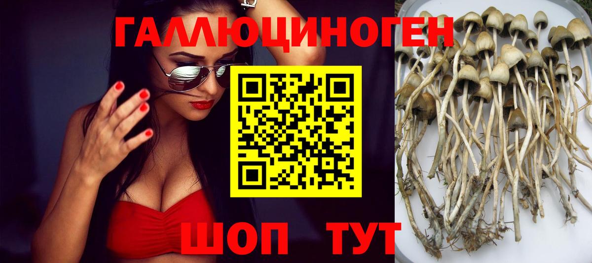 Галлюциногенные грибы ЛСД Будённовск