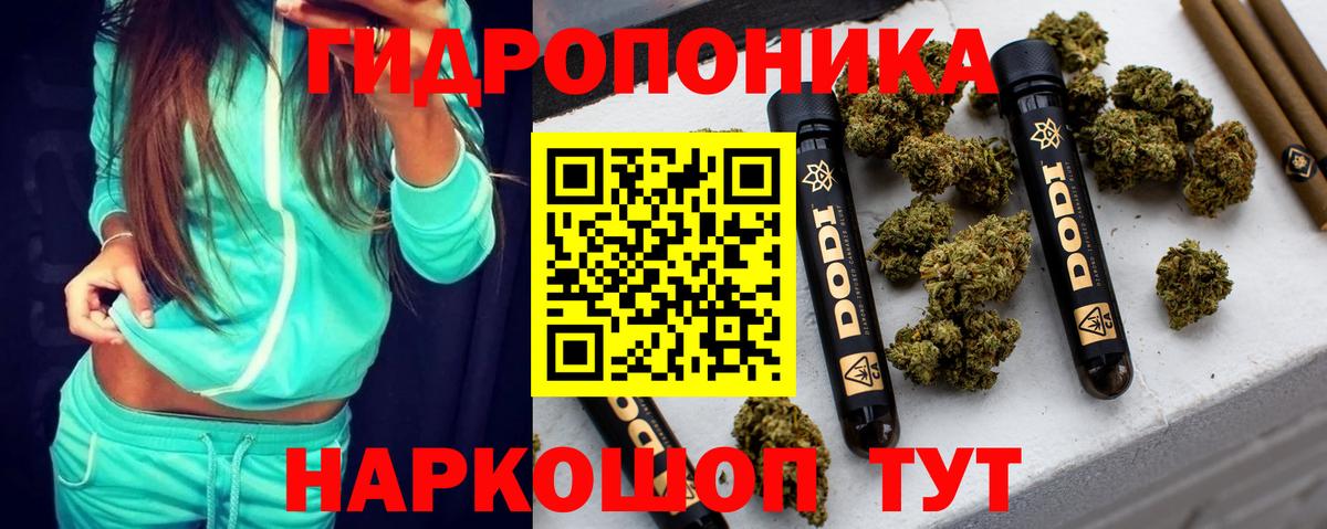 Канабис ГИДРОПОН  Бошки марихуана LSD WEED  Будённовск  Вход с VPN  МАРИХУАНА индика 
